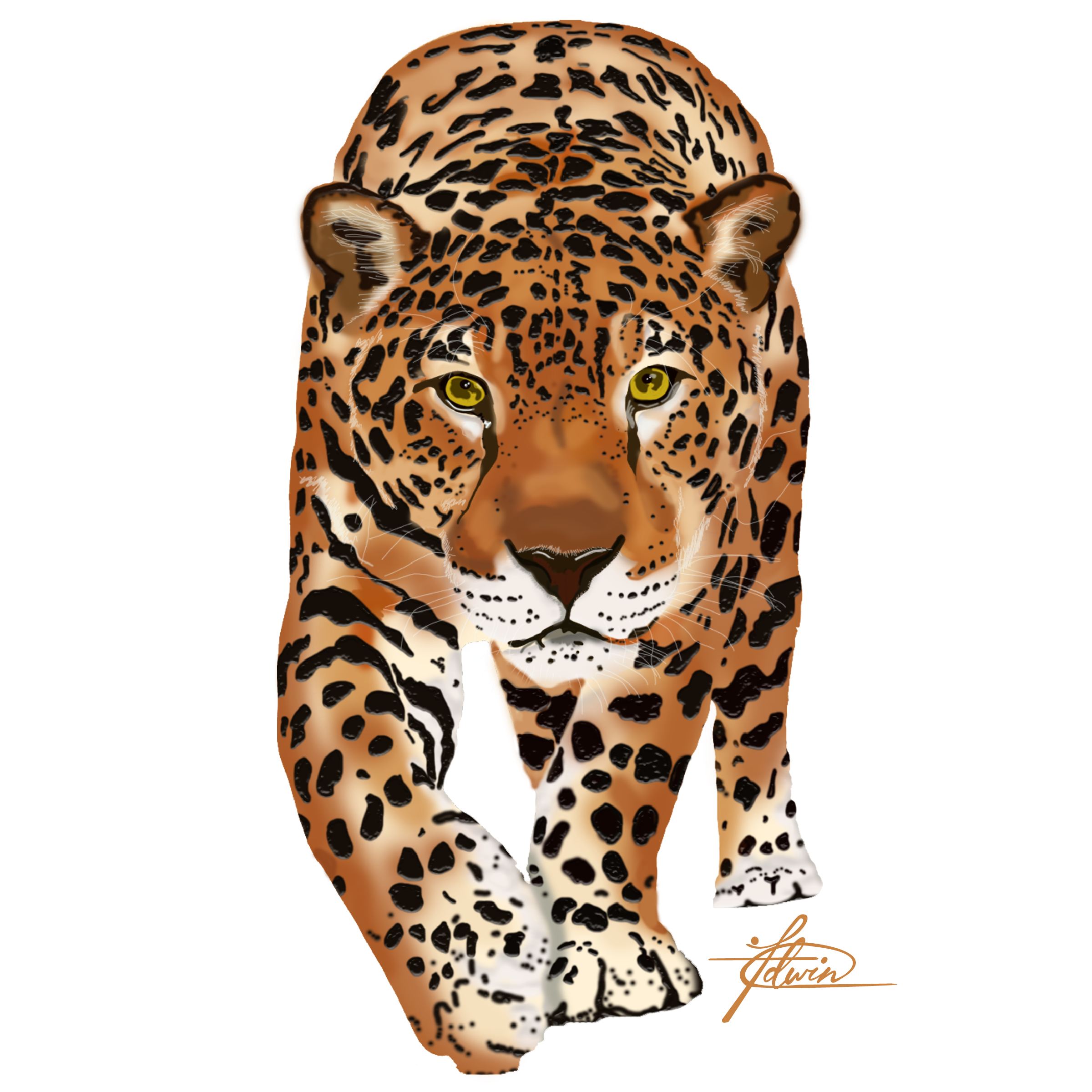 Jaguar Illustration